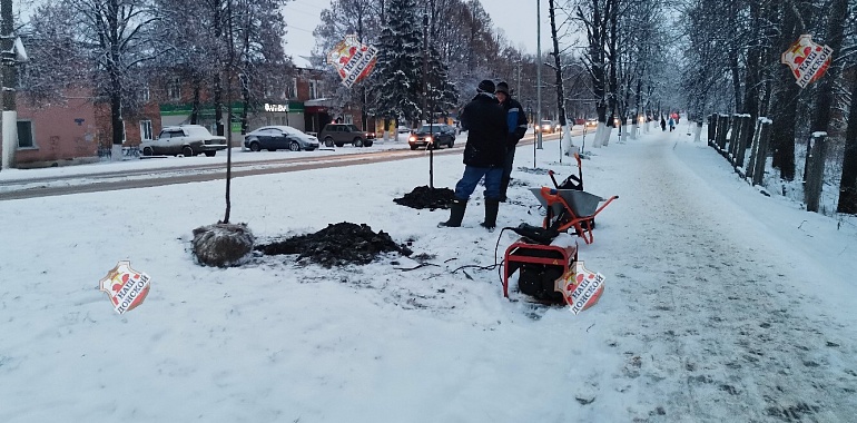 «Снег идёт, а мы сажаем!» – в Донском используют сомнительные способы озеленения города