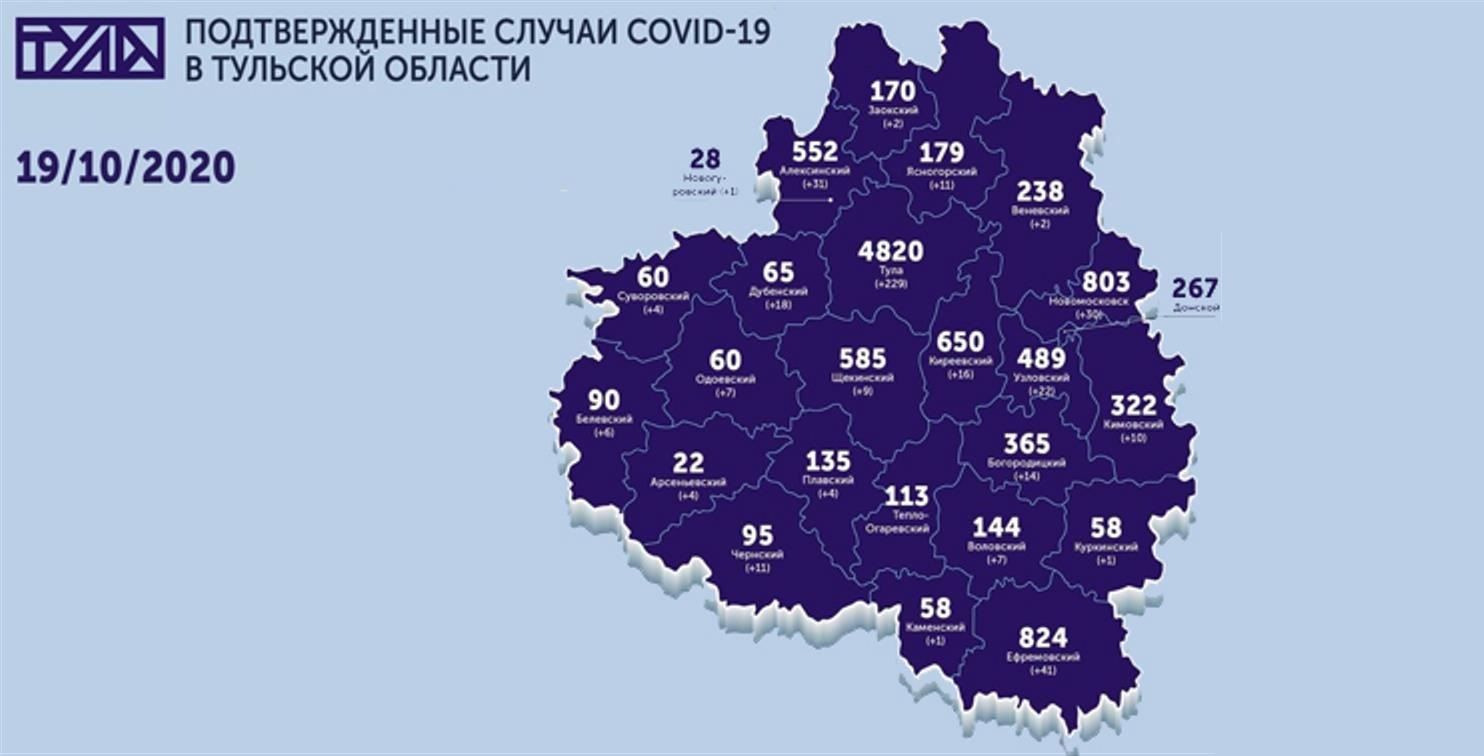 Система город тульская область. Карта коронавируса в Тульской области. Коронавирус Тульская область карта. Карта заболевших коронавирусом в Тульской области. Карта коронавируса в Тульской области по районам.