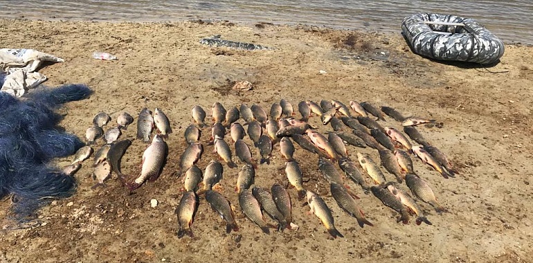 У браконьеров изъяли более 40 кг рыбы