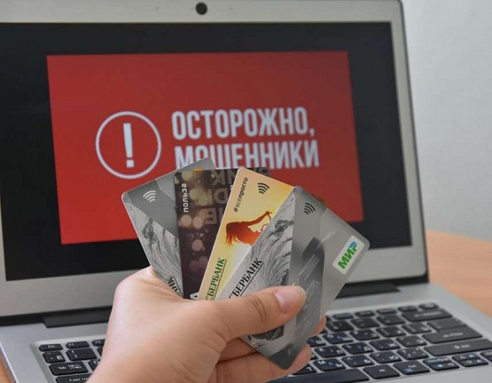 За сутки мошенники похитили у туляков почти полтора миллиона рублей