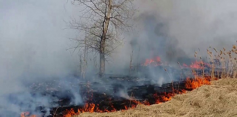 В Тульской области введен особый противопожарный режим