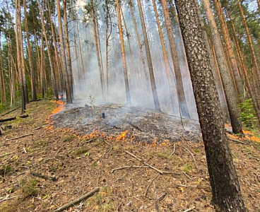 В Тульской области официально завершился пожароопасный сезон