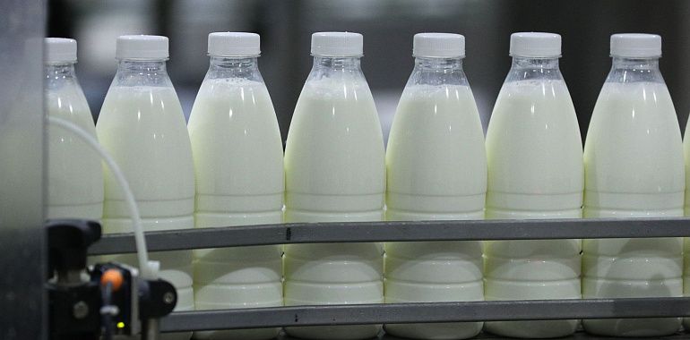 В Тульской области в 2023 году надоили более 200 тыс. тонн молока