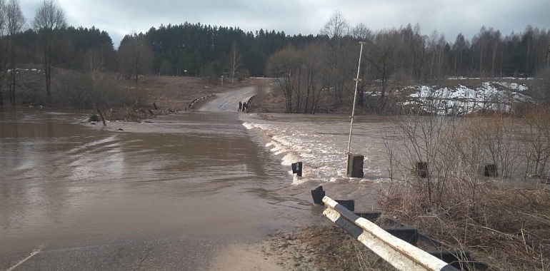 В Тульском регионе затоплено 8 мостов из-за разлива рек