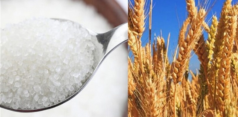 Экспорт сахара и зерновых временно запрещён в России