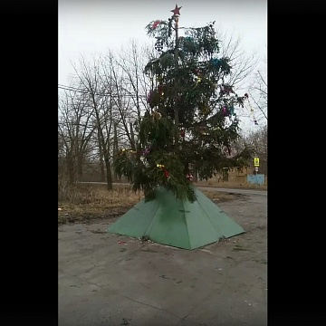 Новомосковцы возмутились новогодней ёлочкой в Шамотном