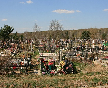 Более 40 га земли пойдут в Туле под новые кладбища