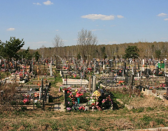 Более 40 га земли пойдут в Туле под новые кладбища