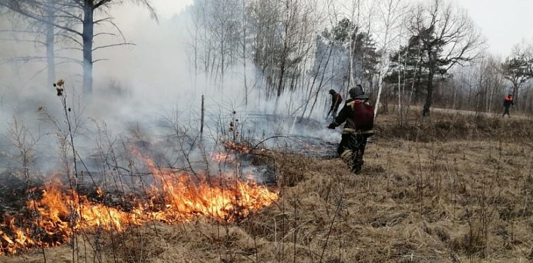 В регионе начались возгорания сухой растительности