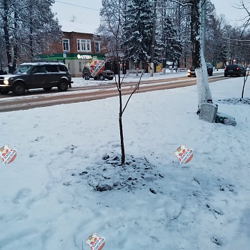 «Снег идёт, а мы сажаем!» – в Донском используют сомнительные способы озеленения города