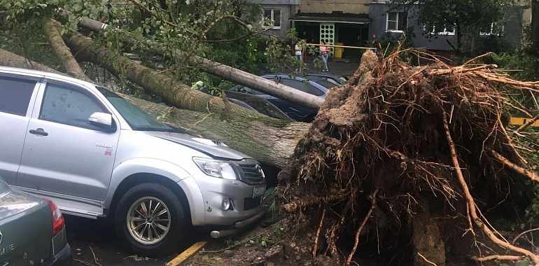Из-за ураганного ветра в Тульской области пострадали 102 автомобиля