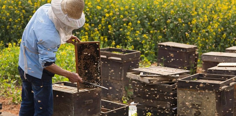 Тульские пчеловоды поблагодарили Геннадия Зюганова и Олега Лебедева за помощь в защите пчёл от бесконтрольного использования пестицидов