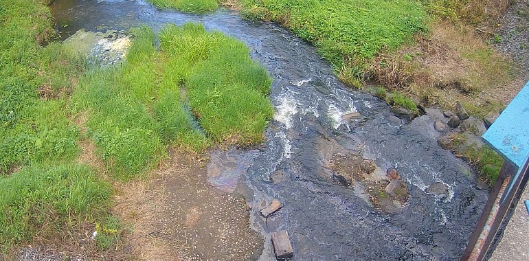 Ни одна крупная река в Туле не признана даже "слабо загрязненной"