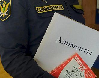 В России создадут реестр злостных алиментщиков