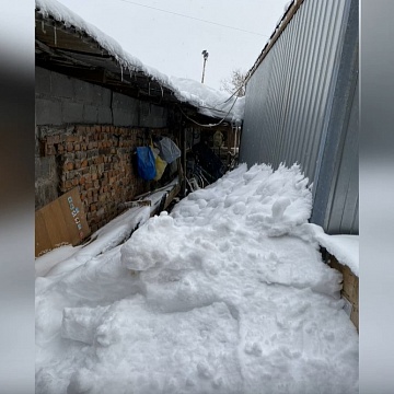 Коммунисты и комсомольцы Тульской области помогли очистить от снега питомник "Любимец"