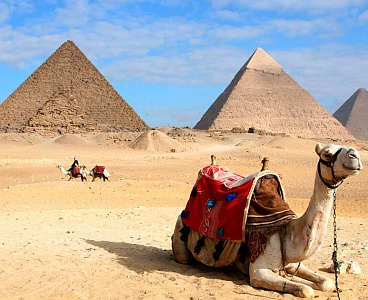 Цены на туры в Египет снизились почти наполовину