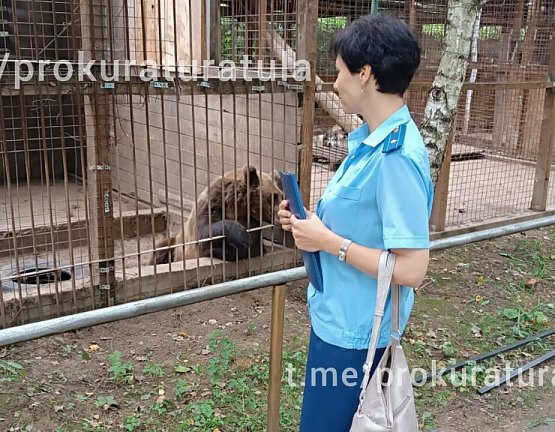 Зооферму "Алексин-Страус" закрыли после нападения медведя на женщину с ребенком