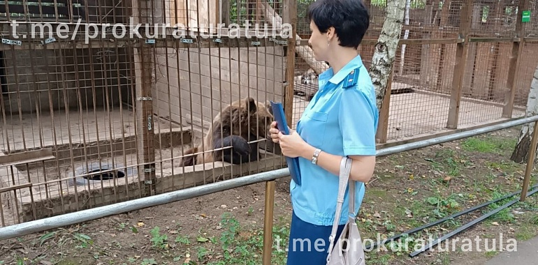 Зооферму "Алексин-Страус" закрыли после нападения медведя на женщину с ребенком